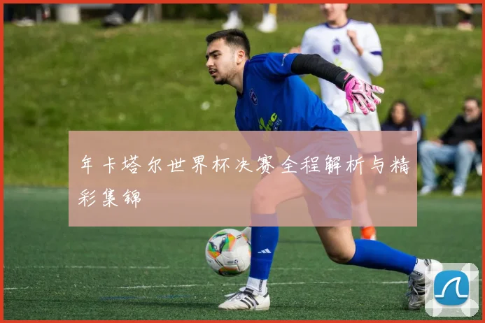年卡塔尔世界杯决赛全程解析与精彩集锦