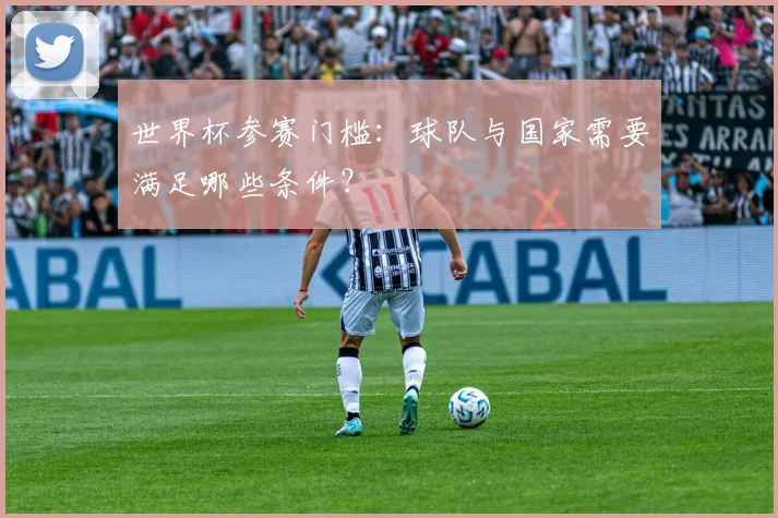 世界杯参赛门槛:球队与国家需要满足哪些条件?